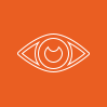 vision icon
