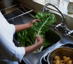 restaurant food contamination insurance