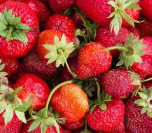 north carolina restaurant food spoilage coverage